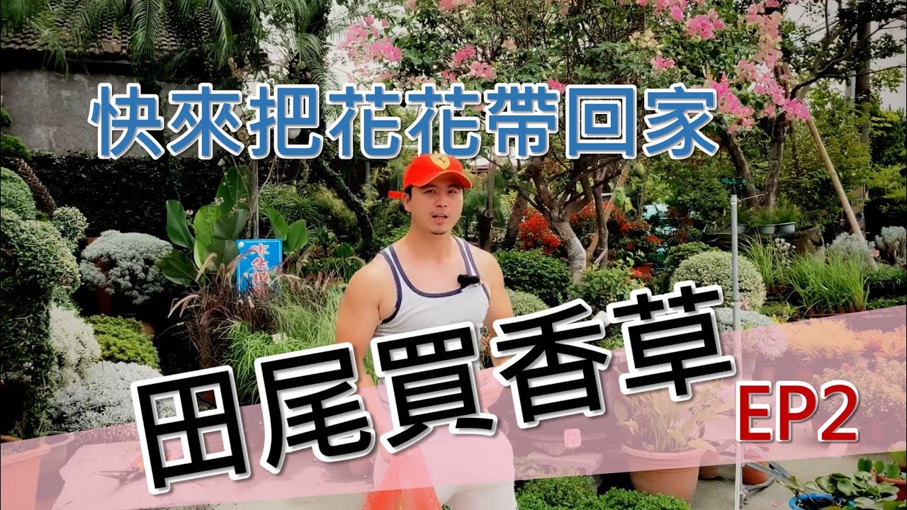 【田尾系列 ep4】gardening shop 合利園藝–田尾必逛名店，占地超大，產品最全，花況優良，價錢合理。#伊恩愛種花 ＃田尾