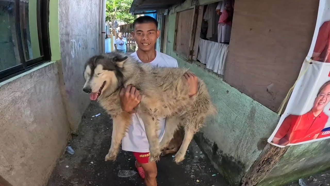 NAKAWALA