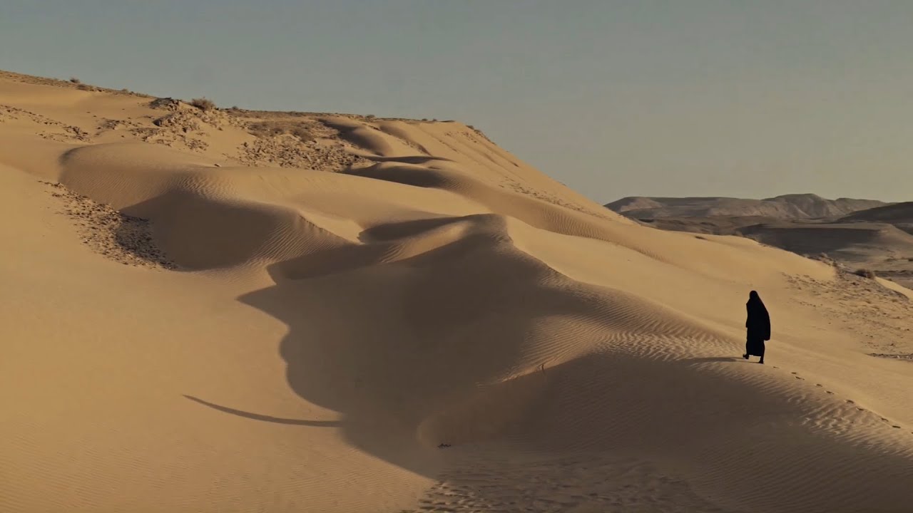 Sting - Desert Rose (Ersin AVCI Remix)