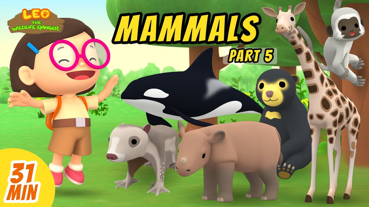 Mammals Minisode Compilation (Part 5/5) - Leo the Wildlife Ranger | Animation | For Kids