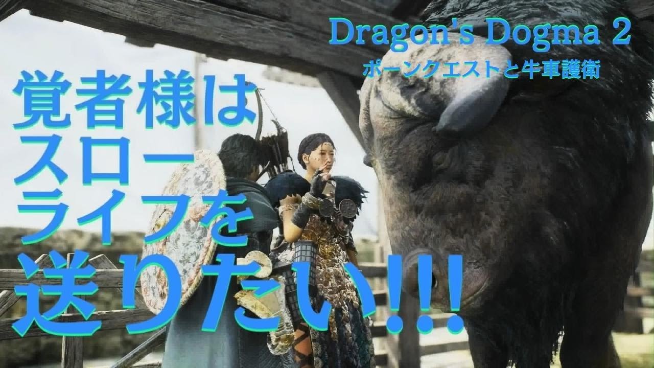Dragon's Dogma 2【没入感を求めて】ドラゴンズドグマ2