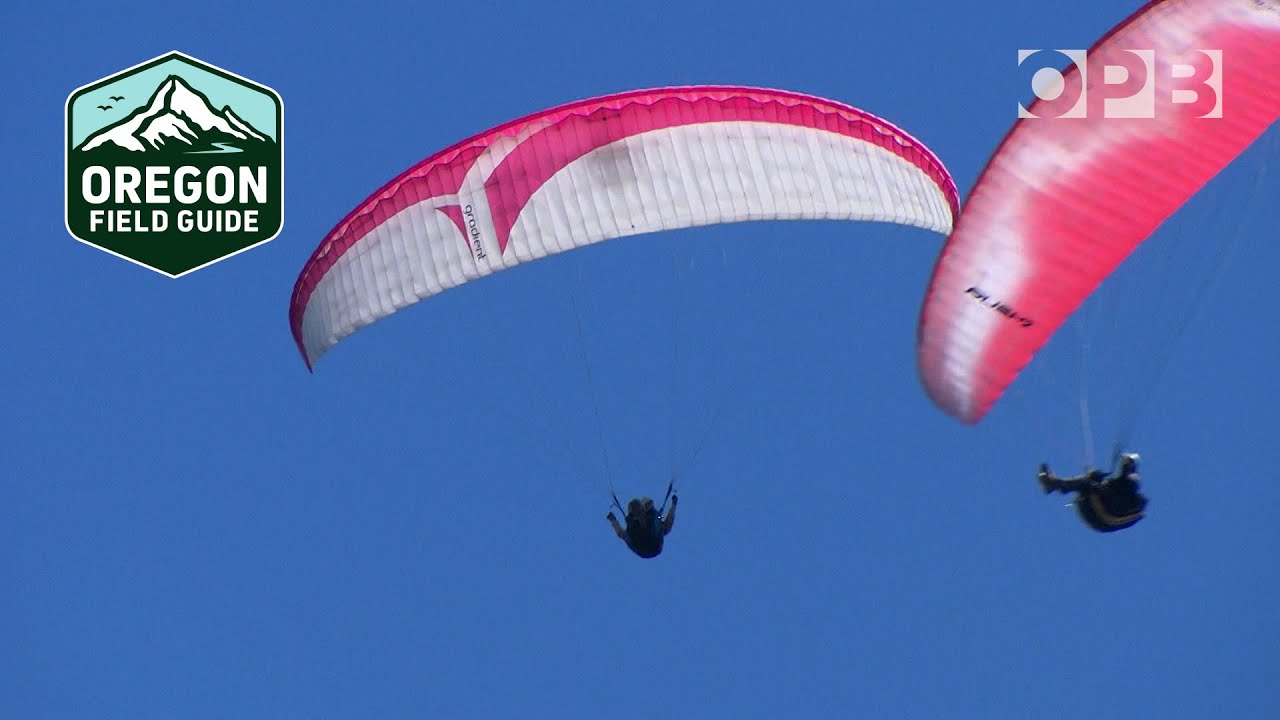 160 paragliders take flight for Oregon's 