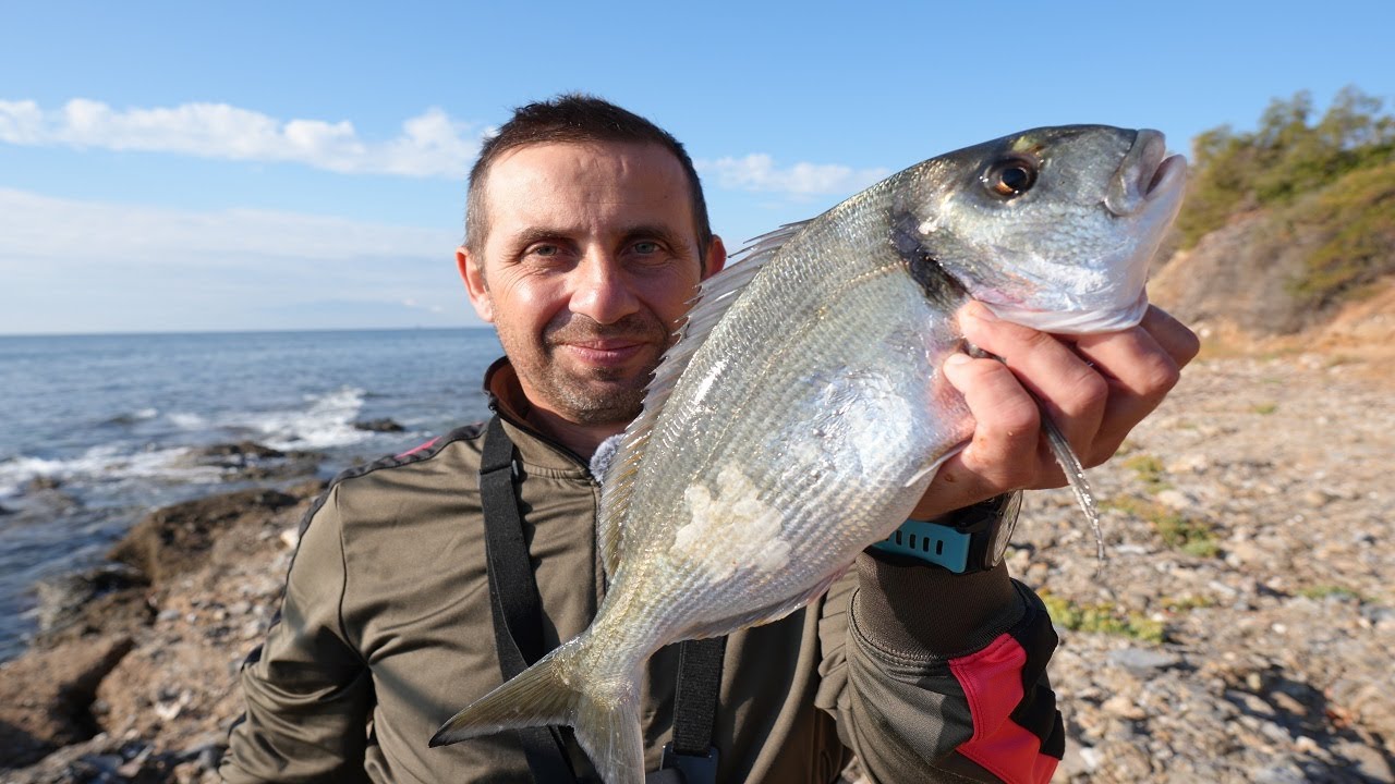 ΕΠΙΤΕΛΟΥΣ ΤΣΙΠΟΥΡΑΚΛΑ ΑΛΑΝΙΑΡΑ