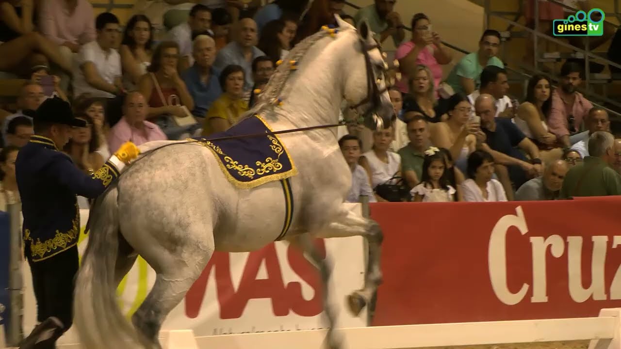 Primer Concurso Internacional de Exhibiciones Ecuestres en La Pará de Gines 2025 (RESUMEN)