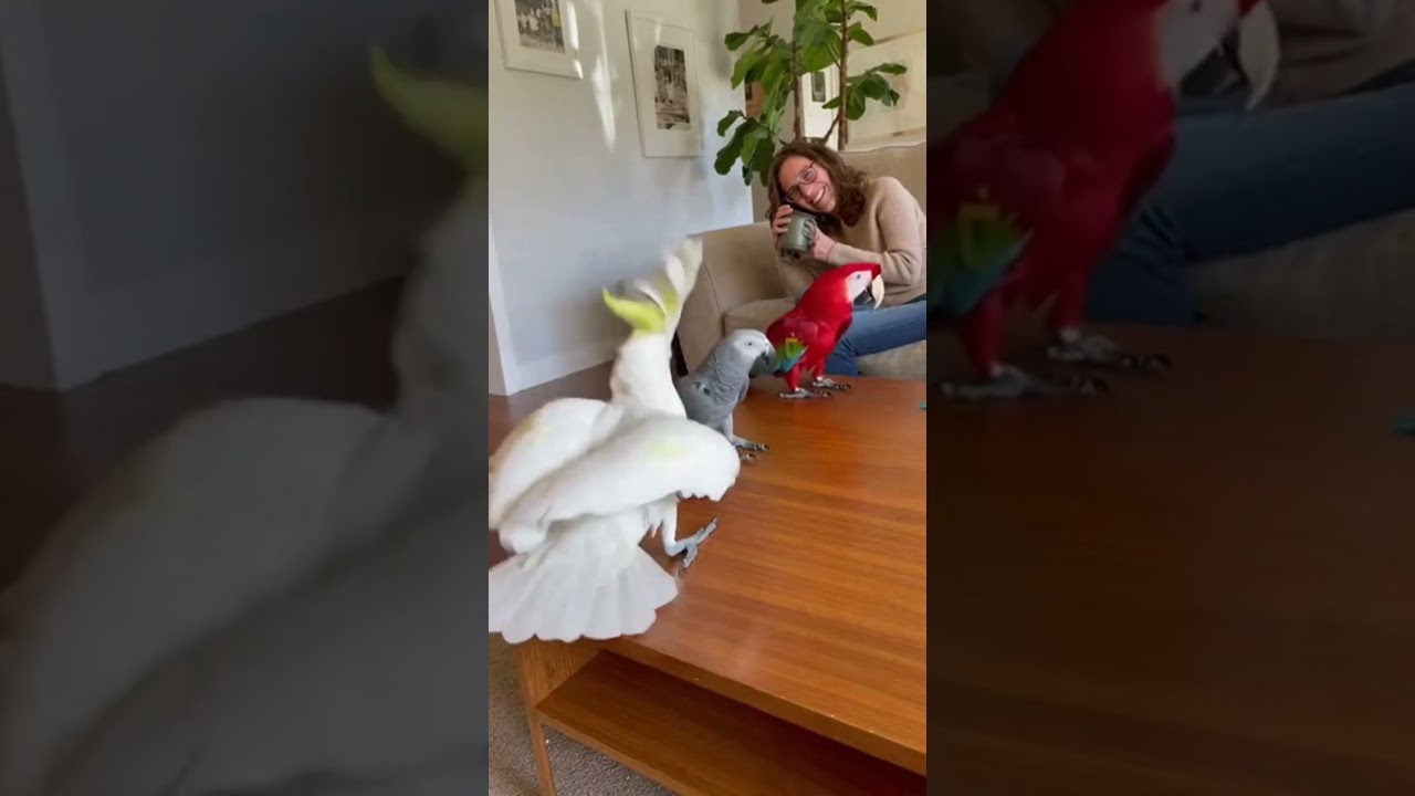 Танцуя изо всех сил