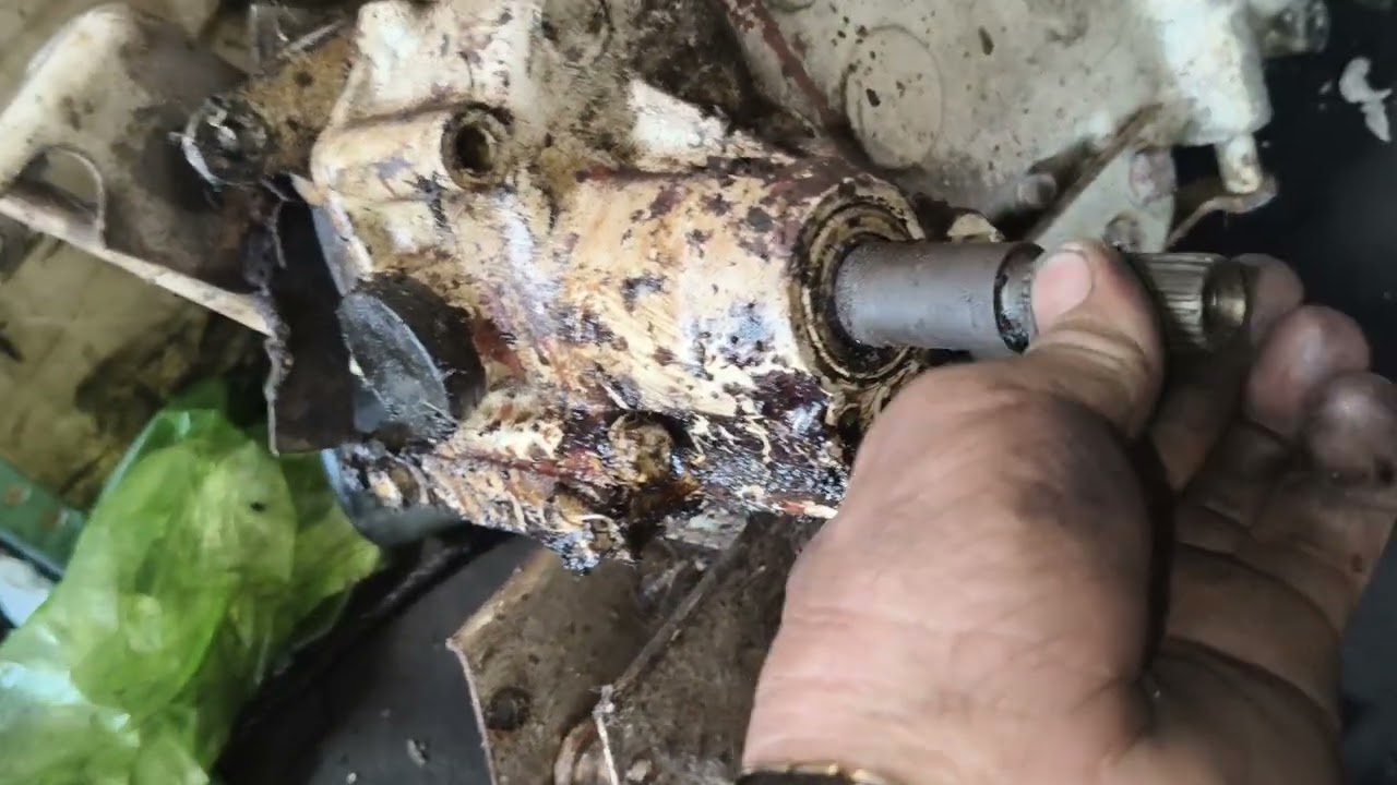 Gần tết sau mệt quá cô chú ơi , cái gì cũng phải dọn hết!