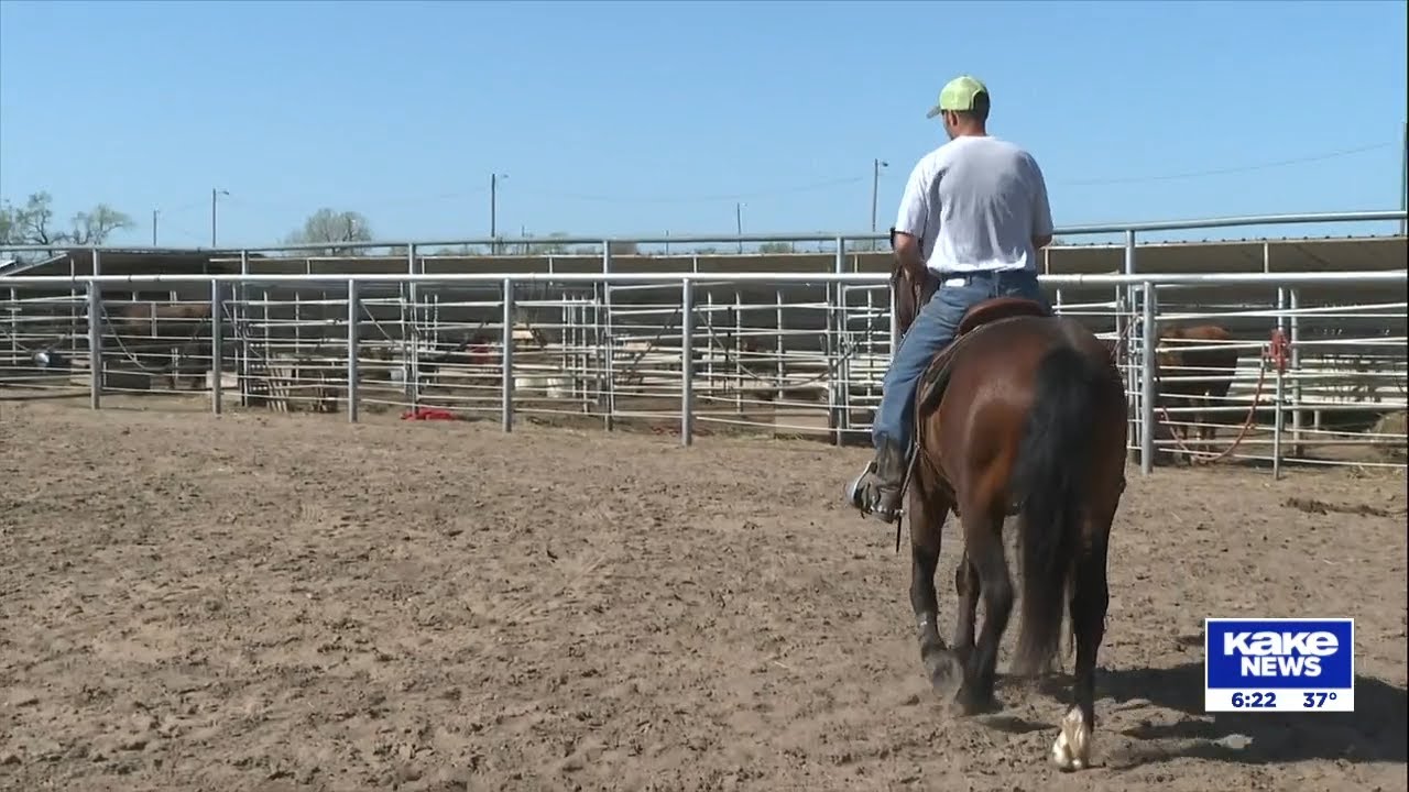 Former residents of Hutchinson prison react to wild horse program defunding