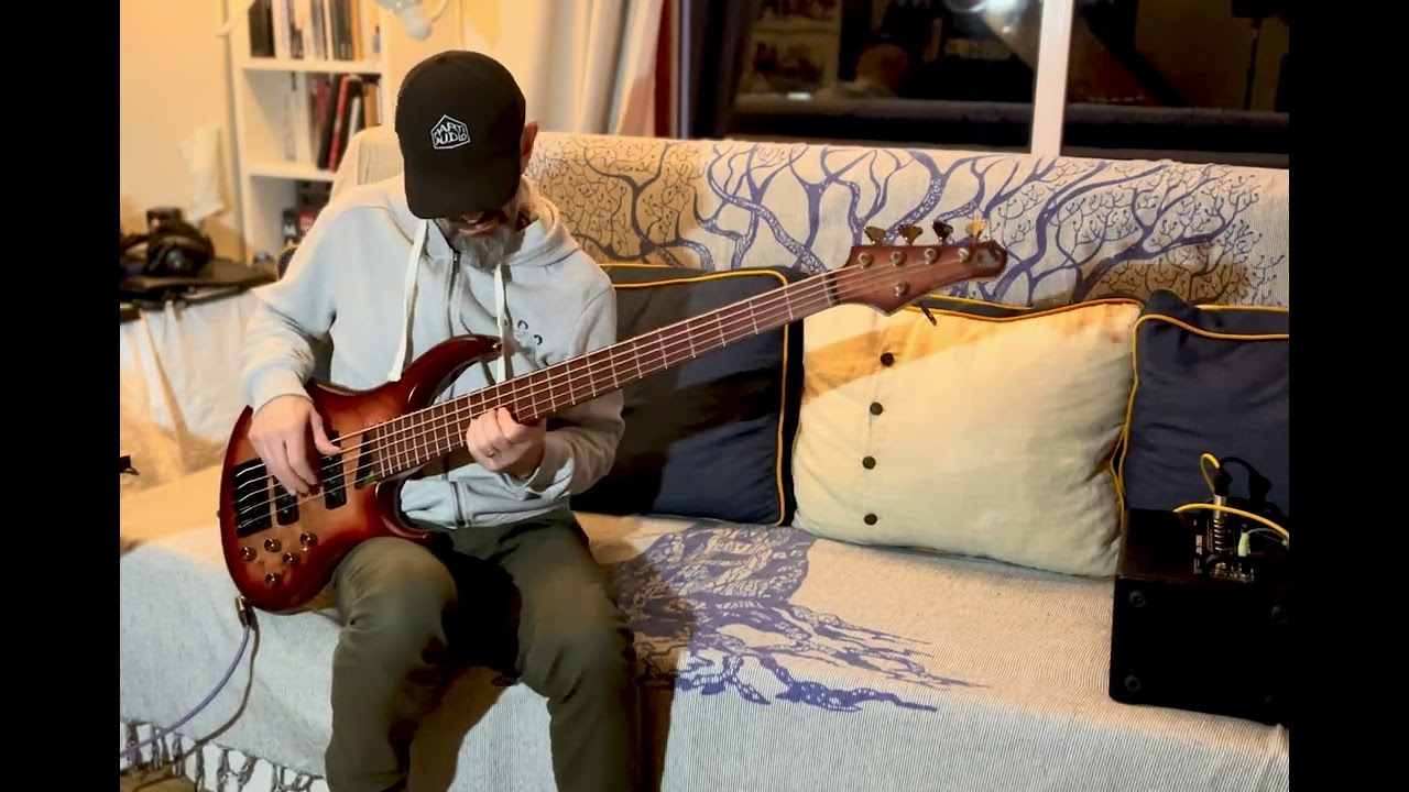 MTD AG5 Burl Maple top and Purple heart board - Modern Jazz Bass 5