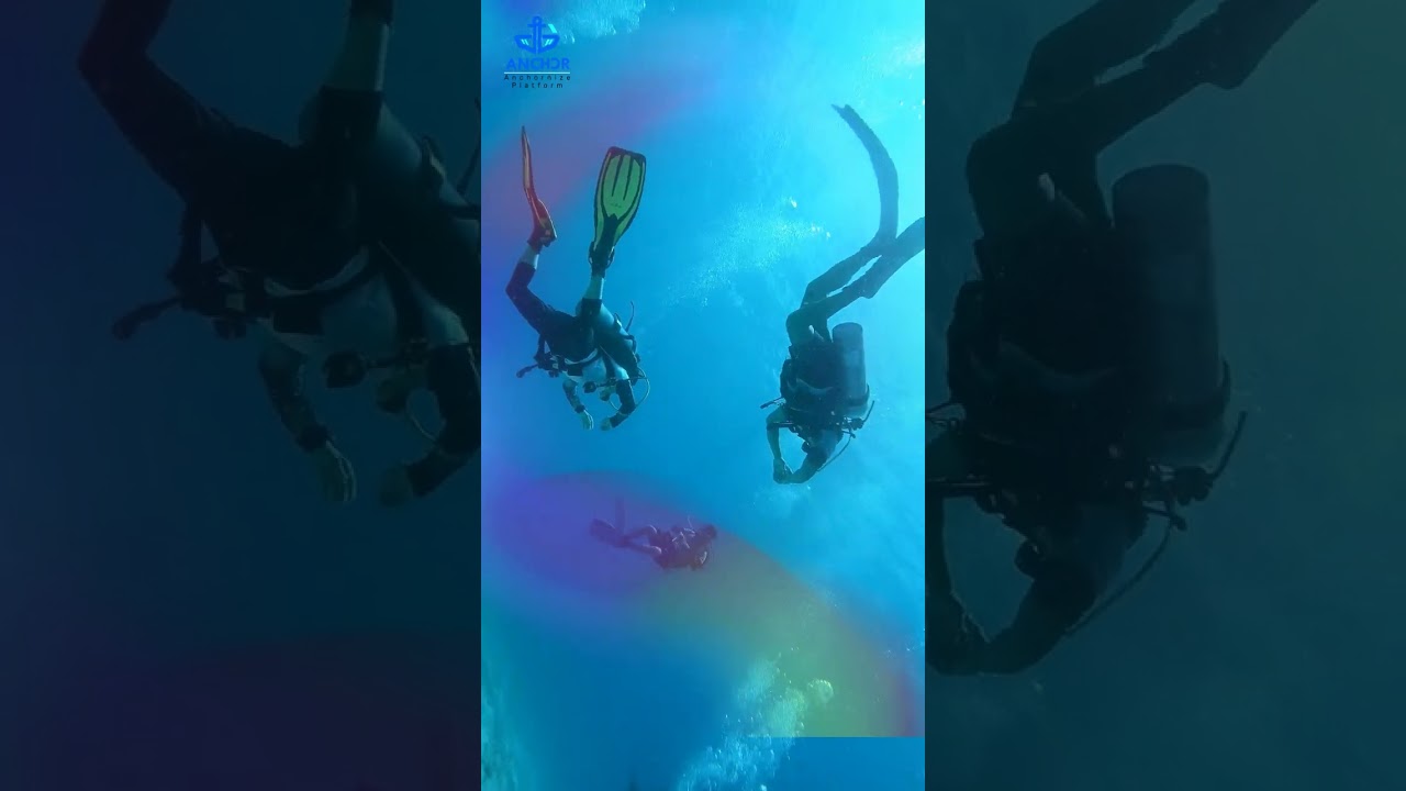 Dive into Efficiency with Anchor BMS Dive Operations! #diving #diver #divingcenter #divebuddy
