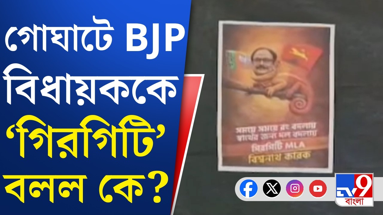 TMC VS BJP, WB Assembly Election: 'গিরগিটি' বিতর্কে BJP বিধায়কের অভিযোগের তির TMC-র দিকে