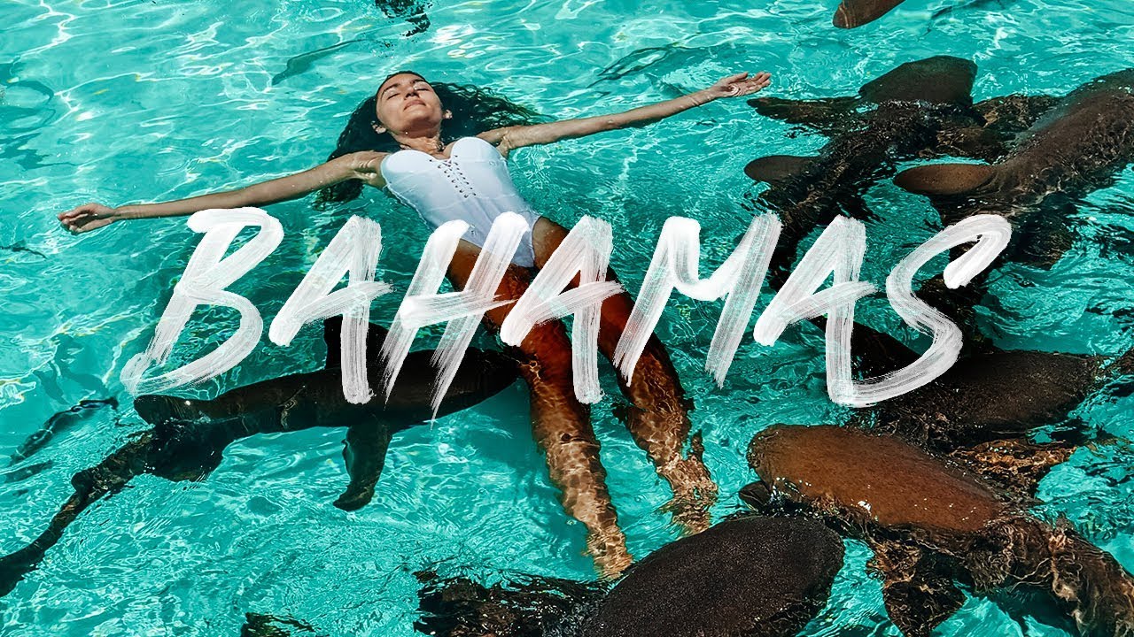 SWIMMING WITH PIGS & SHARKS // Bahamas - Exuma & Nassau