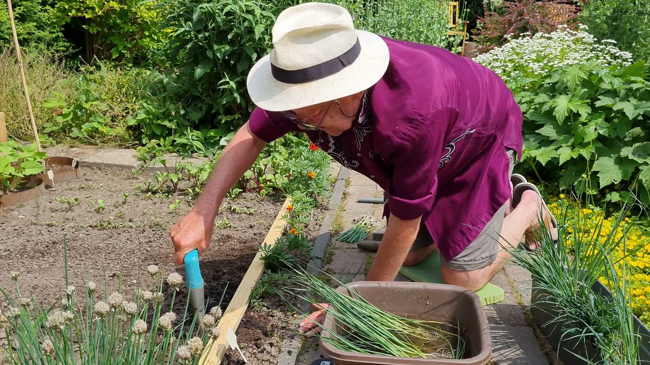 In de tuin bij Henk, aflevering 44, prei uitplanten