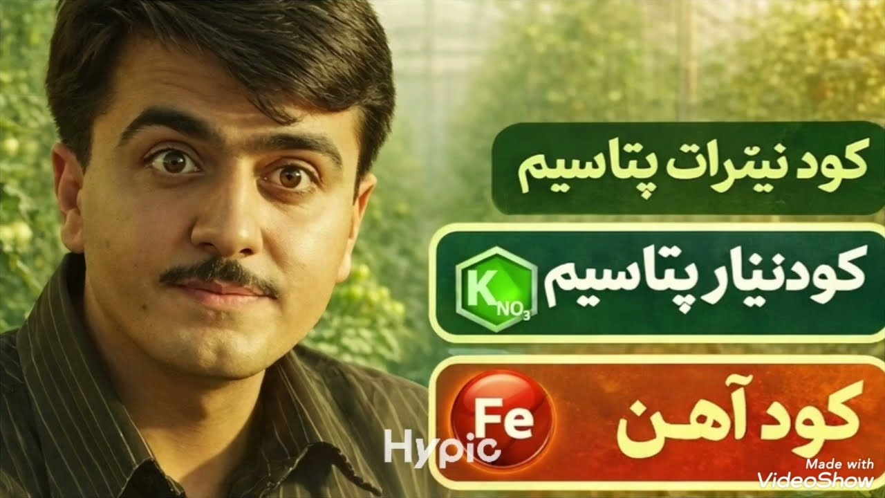 کشت گلخانه کود نیترات پتاسیم 