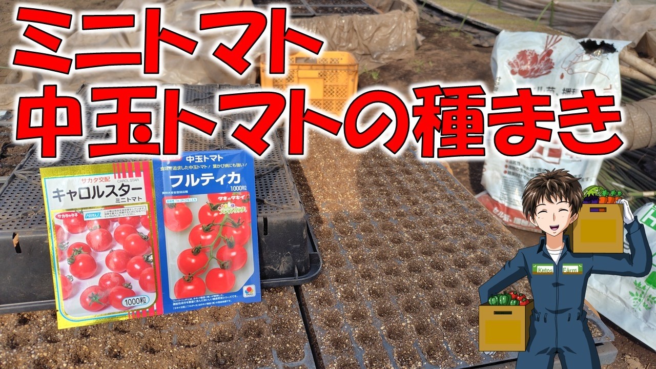 【トマトの種まき】果菜類も種まき開始！温度管理が大変･･･