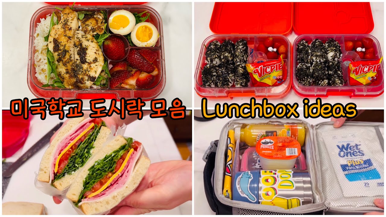 🇺🇸미국학교 도시락 모음 영상(17) Korean mom’s lunchbox/도시락메뉴 참고하세요:자취생 집밥 메뉴/직장인 도시락 메뉴/도시락 편지