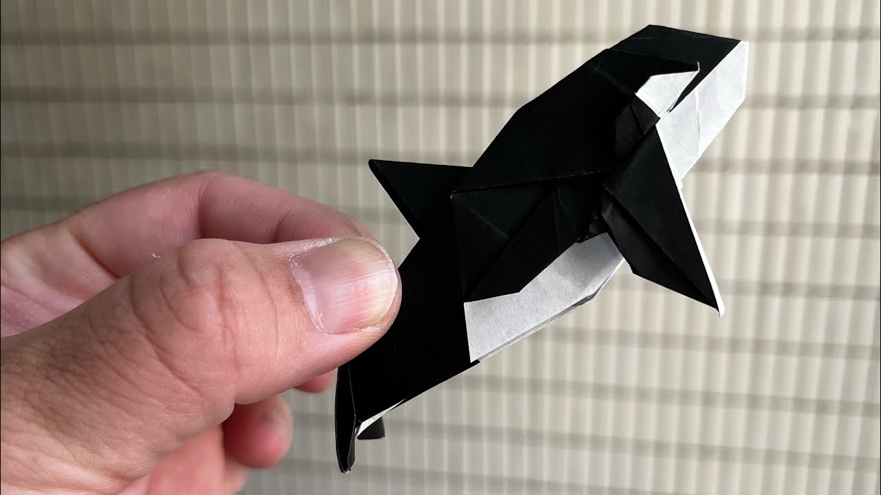 Orca(Wei Lin Chen)