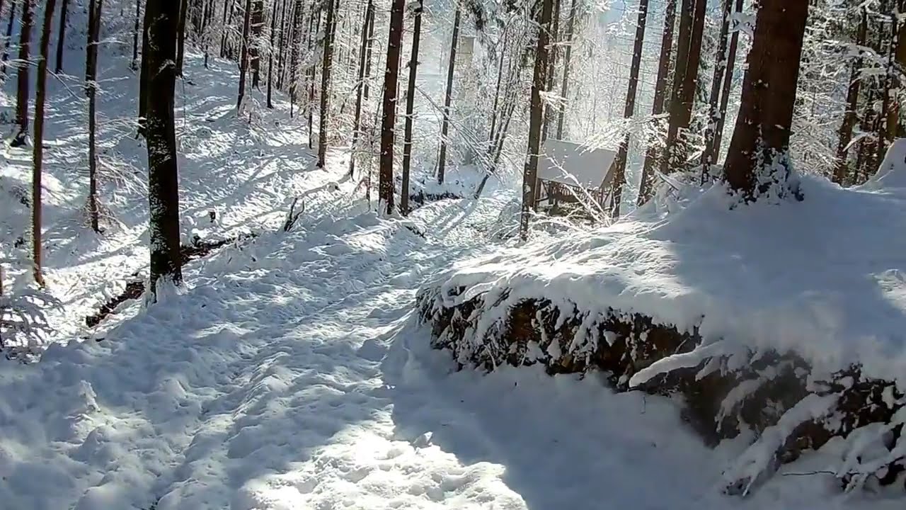 Wisła Cienk&oacute;w po stoku przez las, gdzie można dojść po sarnich tropach, Biuro rachunkowe Ł&oacute;dź opis