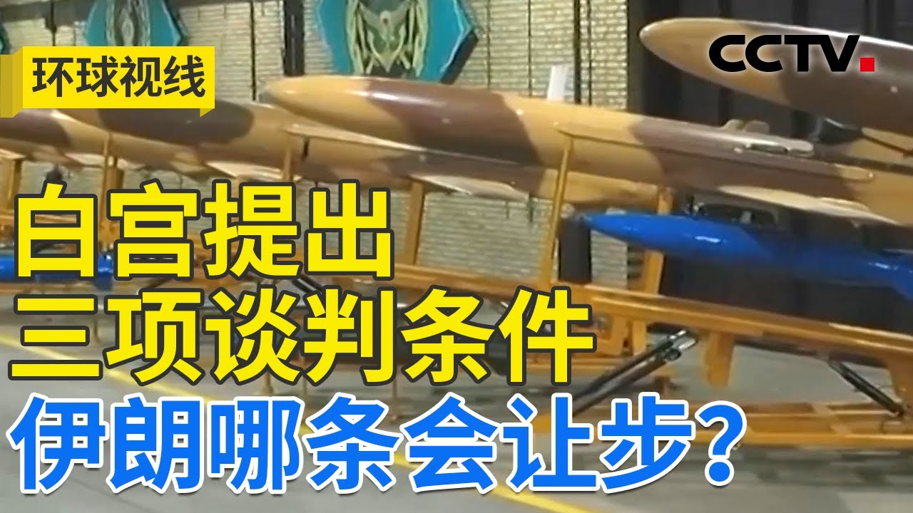 美渲染“重大打击” 以谋划“重塑中东” 20260129 | CCTV中文《环球视线》