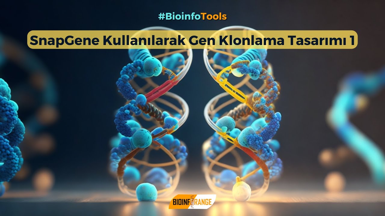 SnapGene Kullanılarak Gen Klonlama Tasarımı 1