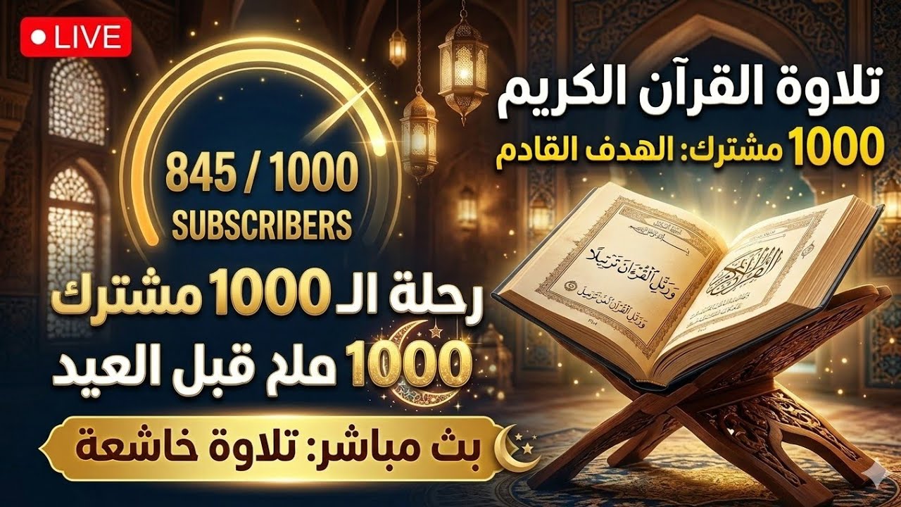 🛑تلاوة هادئة تطمئن القلوب 🤍 | مباشر نحو الـ 1000 مشترك قبل العيد