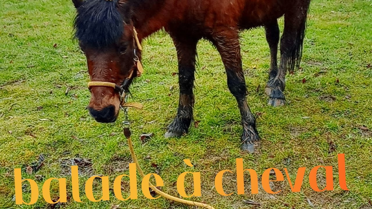 Une petite balade très très mouvementée 