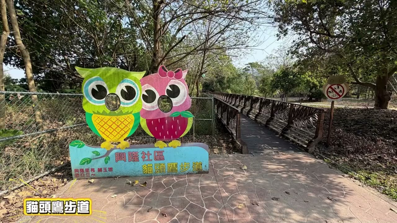 貓頭鷹步道～台中市山岳會20260308活動
