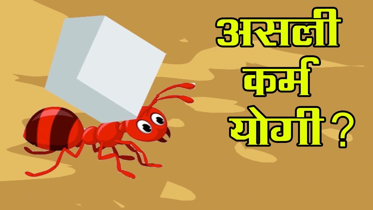 असली करम योगी ? | Asli Karma Yogi ?