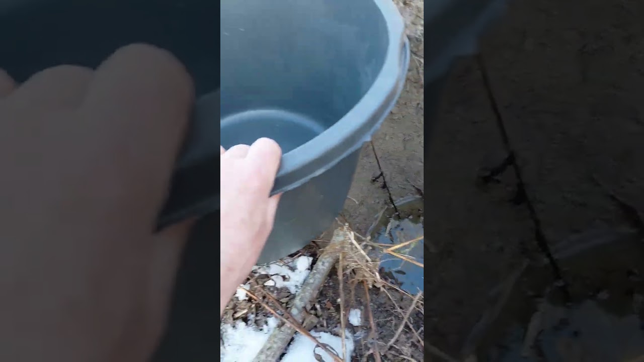 Survival Cache Teil 3  Unter die Erde bringen #survivalhorror #survivalcamp   #survival 