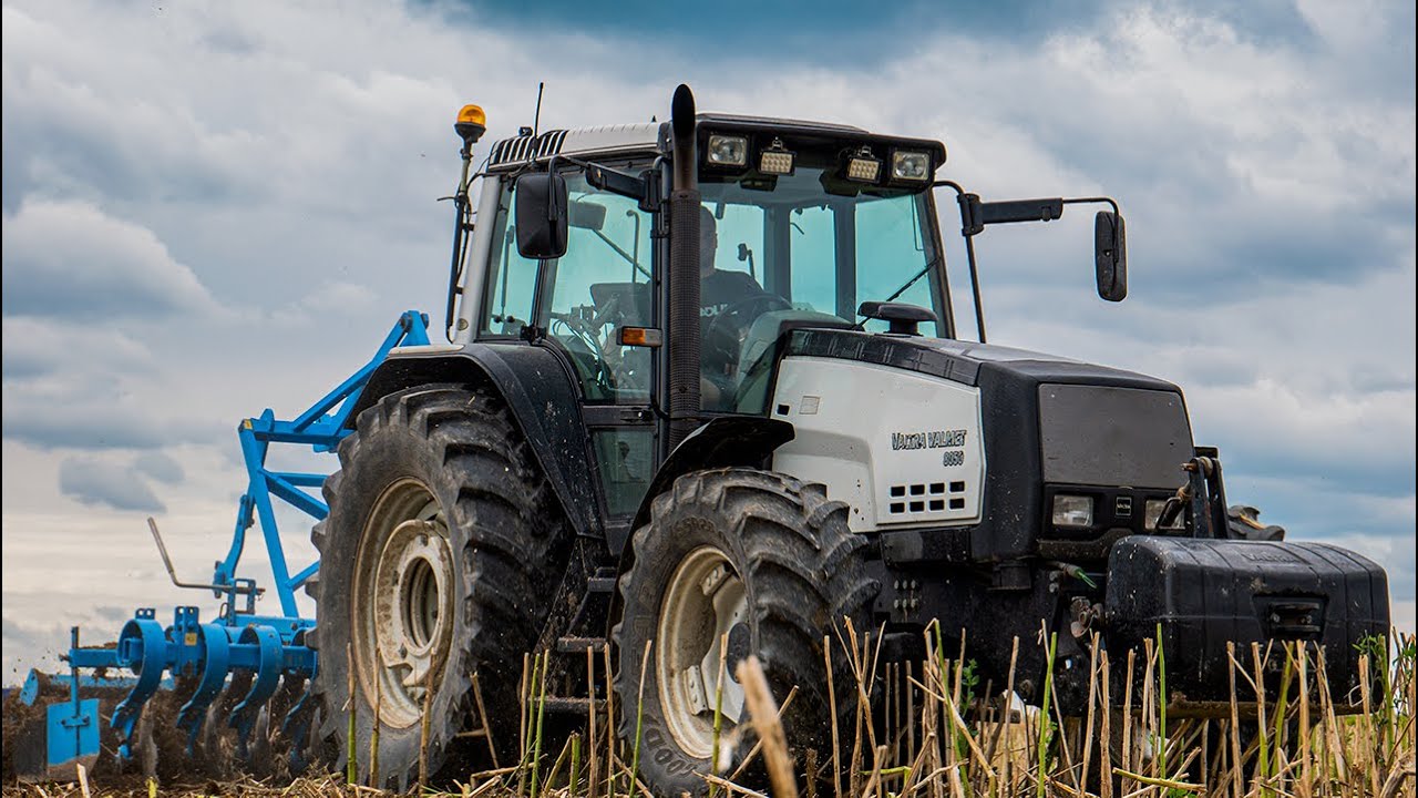 🇵🇱 🔥 ŻNIWA & TALERZOWANIE 2023 🔥 🇵🇱 🌾 RZEPAK 🌾 ☆ W650i & VALMET 8050