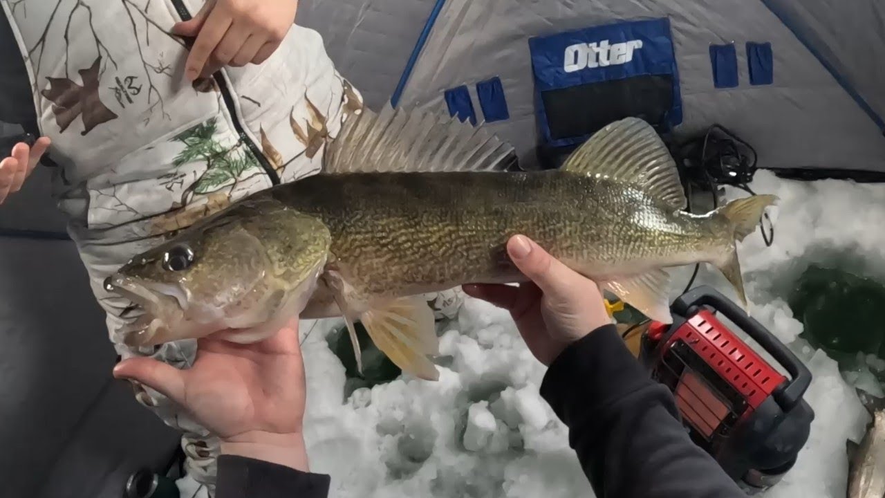 Супердлинный судак — еще один новый личный рекорд с эхолотом Lowrance Eagle Eye 9