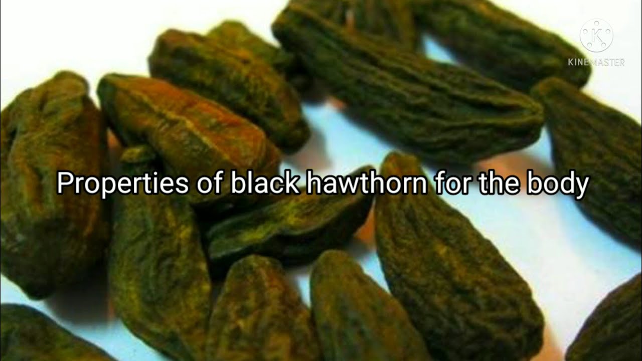 Properties of black hawthorn for the body