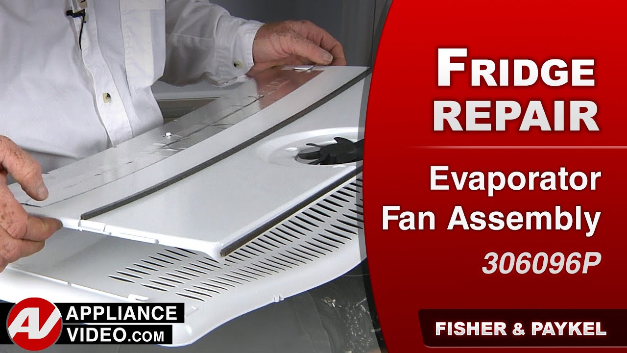Fisher & Paykel Refrigerator - No Airflow in Freezer - Evaporator Fan Assembly Repair