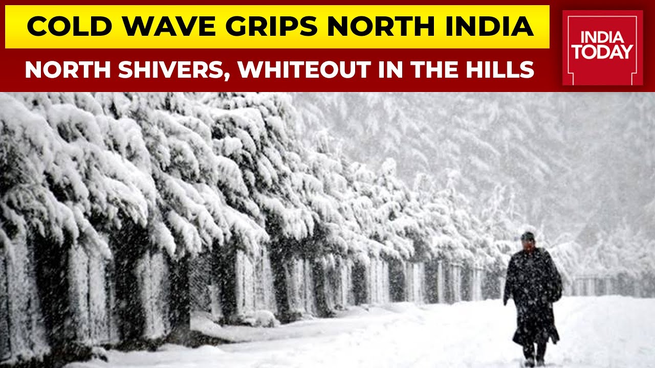 Cold Wave Grips North India, White Blanket Across J-K, Fresh Snowfall In Himachal, Uttarakhand