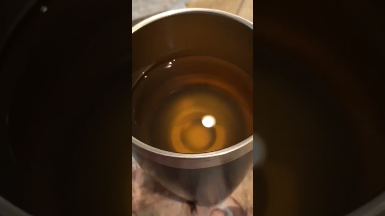 Make mead at home. Follow for more! #diy #homebrew #honeywine #mead #wine