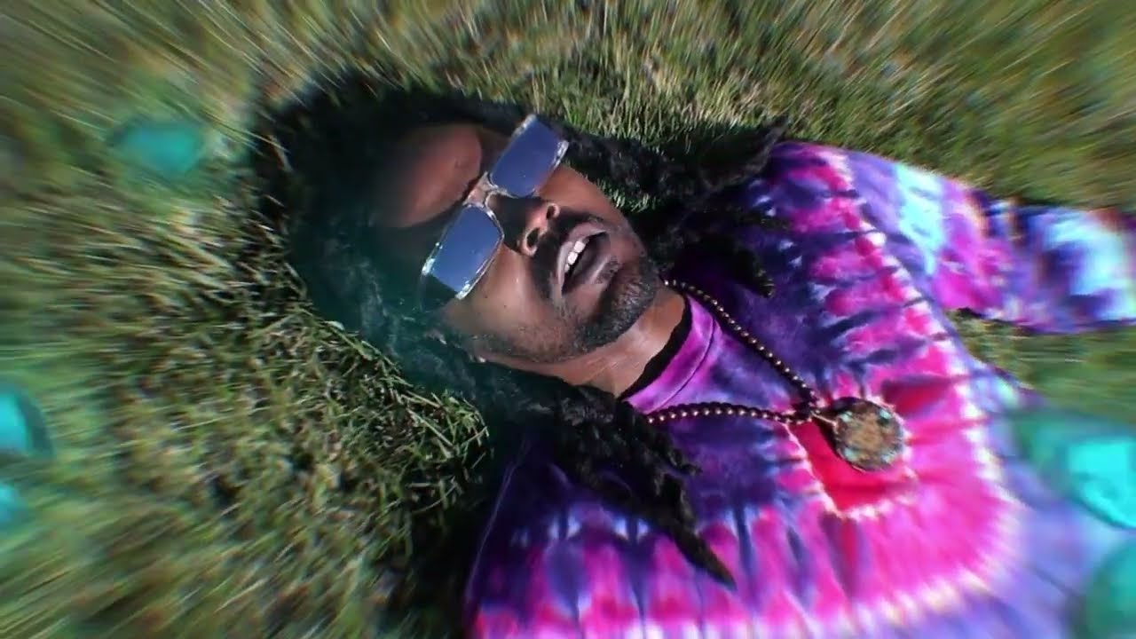 &ldquo;🍄MAGiC MUSHROOMS🍄&rdquo; - Krown Chakra feat. Terence Mckenna  [Music Video]