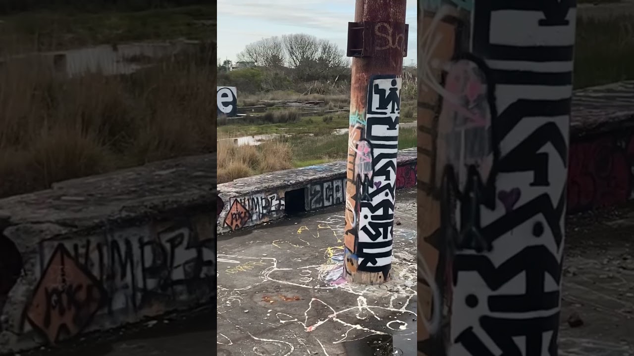 AWARE Original Wetlands Graffiti ruins #explore #graffiti #aware #graffitilife