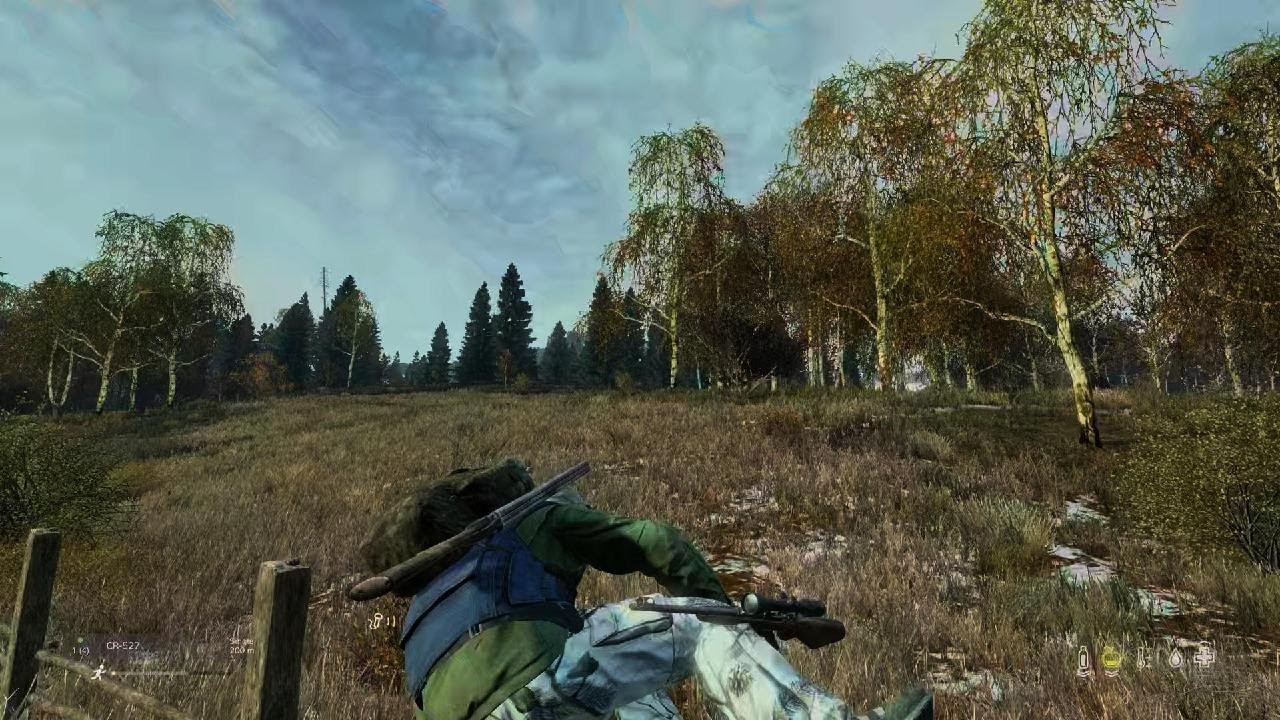 DayZ_20250104151941