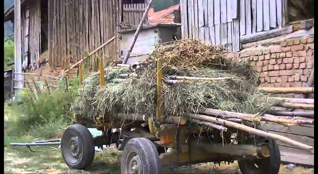 Българската жертва на атентата Мустафа , с. Юруково