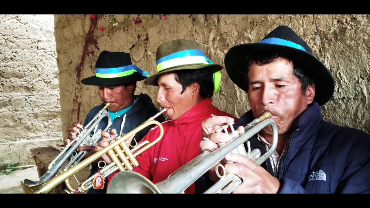 Musica autóctona ☆ Banda Típica  sr de Huarquiza
