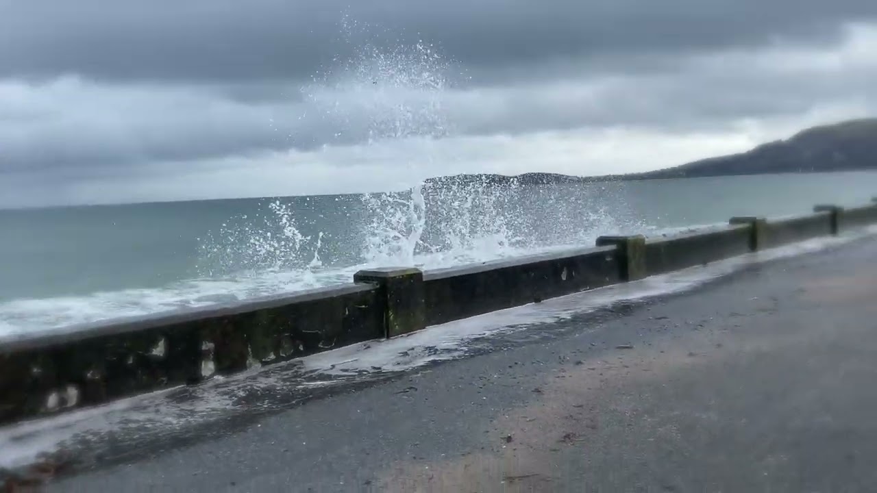 A Mermaid's Song from Children Of The Sea