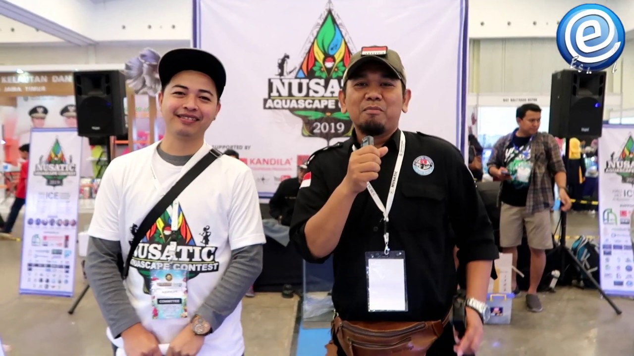 Aquascape kontes di  Nusatic 2019
