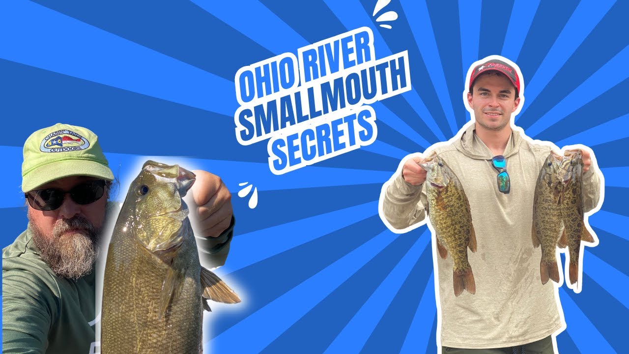 BASS FEDERATION SEMI NATIONAL Ohio River Summer Smallmouth Bass Fishing 3 Days Spinnerbait Dropshot
