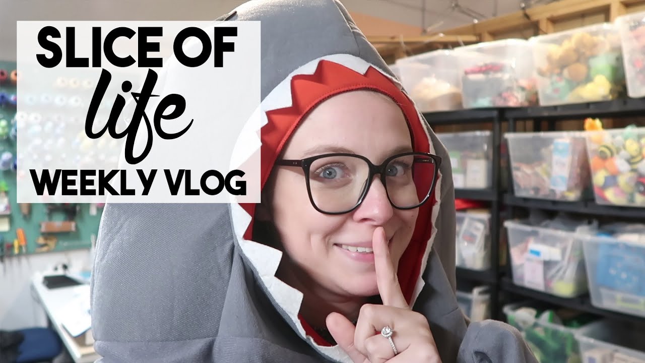 Autumn in Grand Rapids, Michigan + November Plan with Me | Slice of Life Weekly Vlog