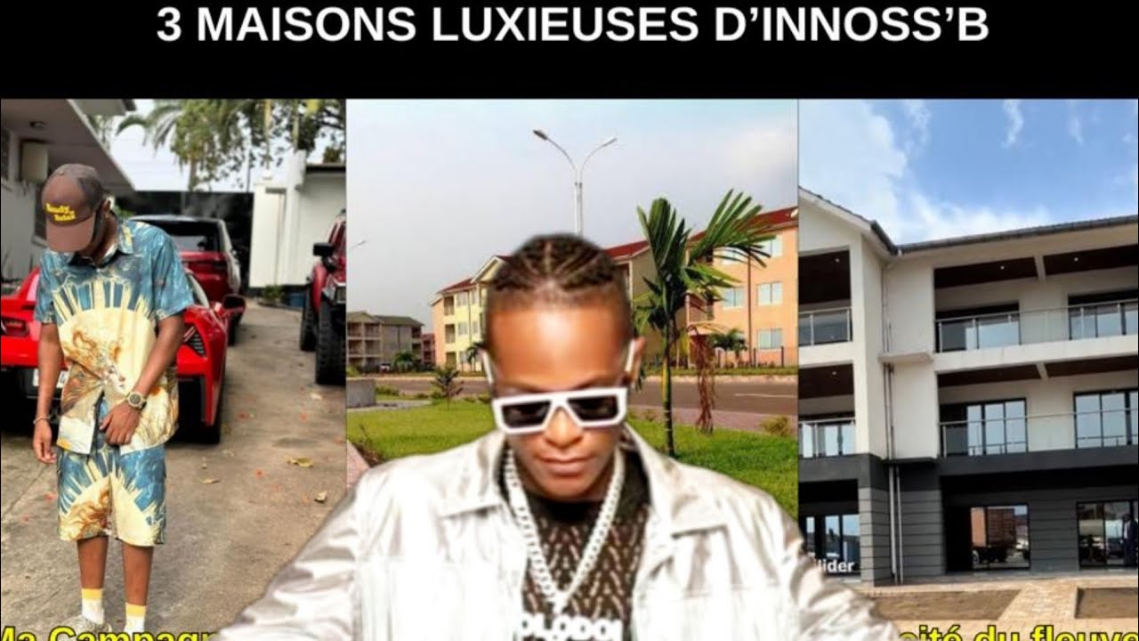 3 Maisons luxueuses de Innoss’B