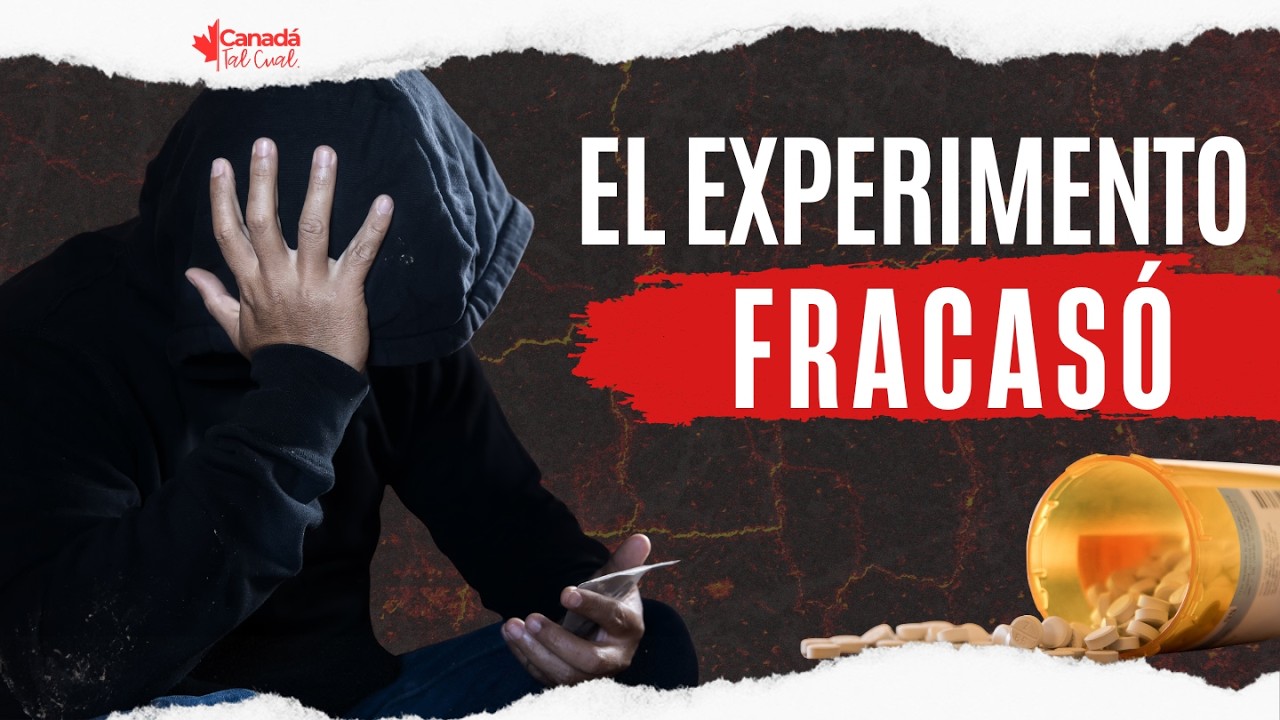 BC da marcha atrás 6.700 muertos y un experimento cancelado