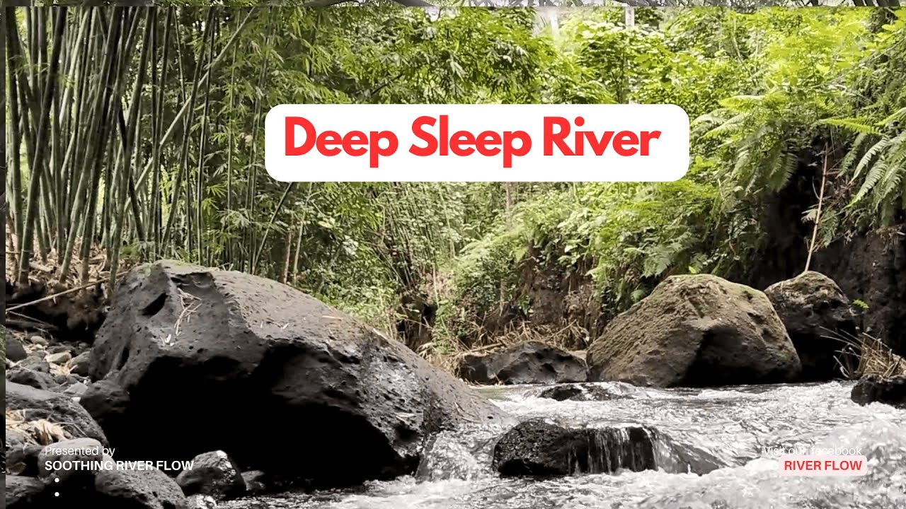 ASMR Suara Air Sungai Mengalir