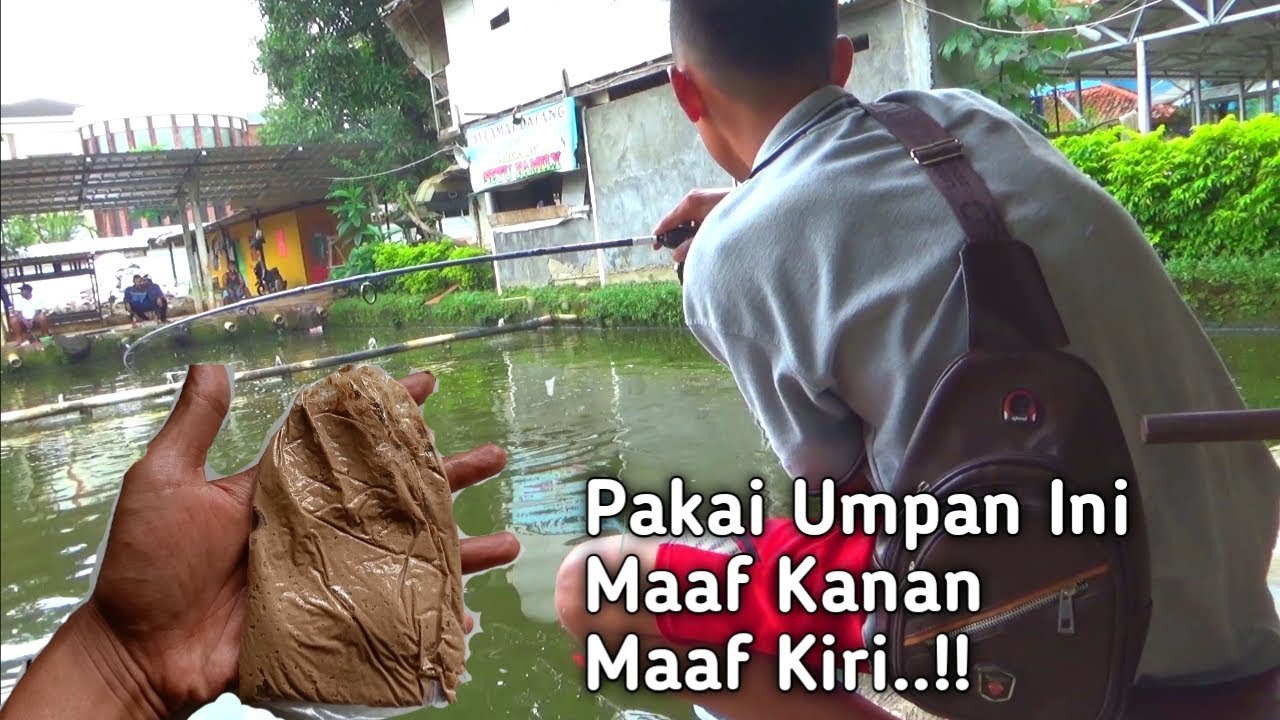 COBAIN UMPAN GLEDEK MUSIM HUJAN, BIKIN MAAF KANAN MAAF KIRI..
