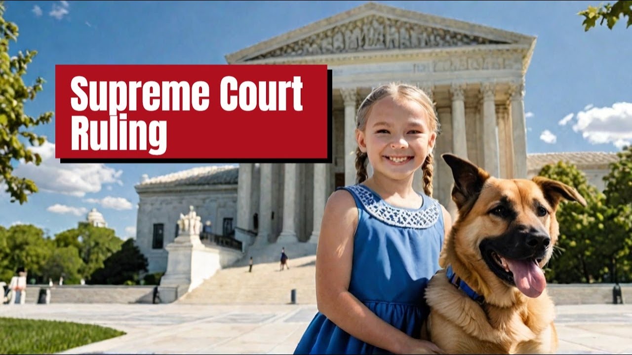 What NO ONE Tells You About the Latest Service Dog Ruling