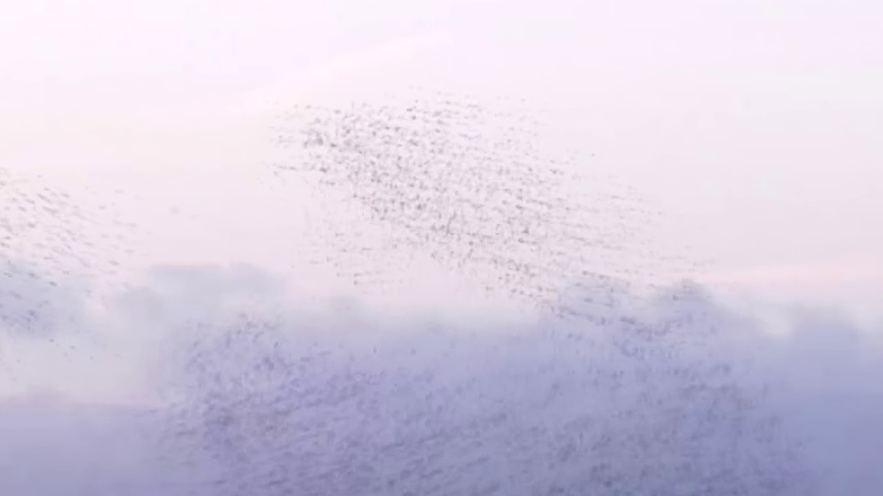 Andrew Heath & Toby Marks - In Air On Water (North), Pt 1