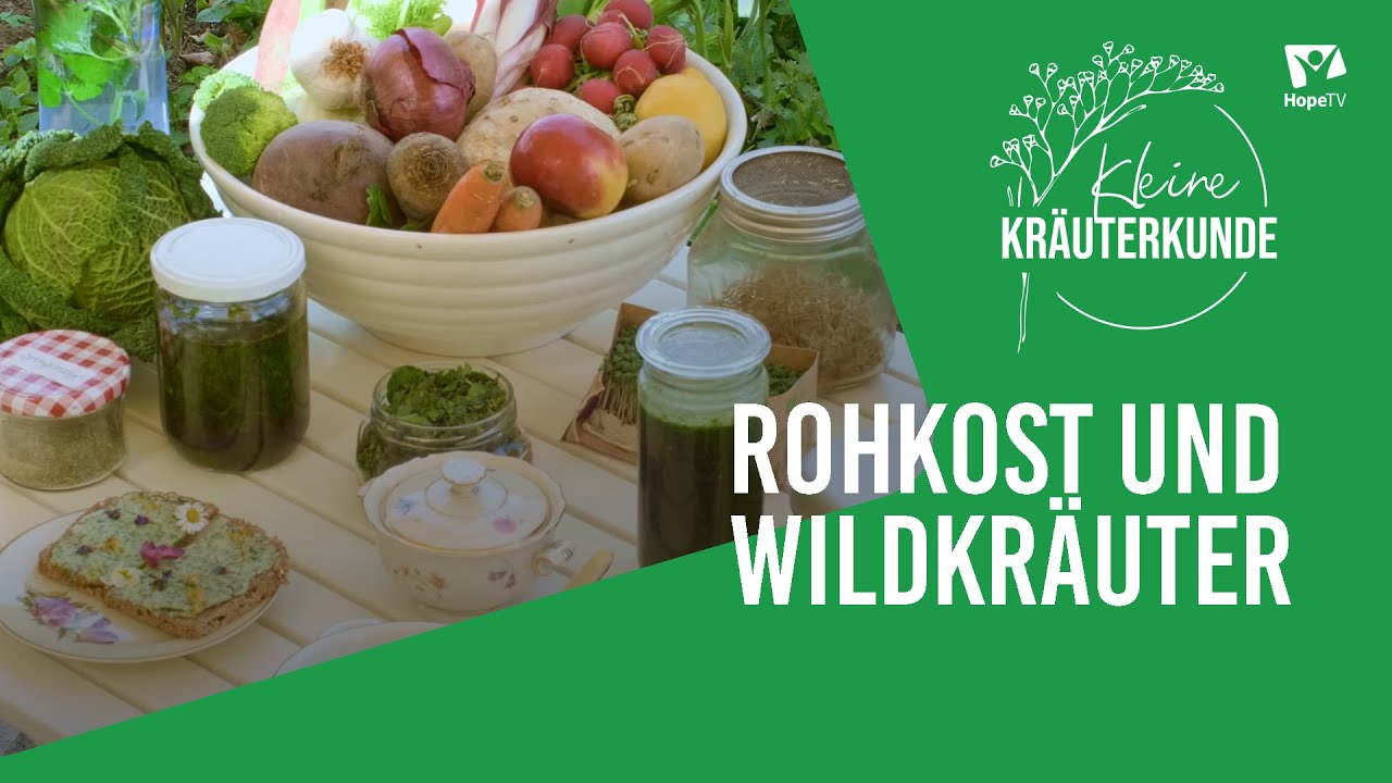 Lebendiges für den Körper: Rohkost und Wildkräuter | Kleine Kräuterkunde